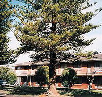 Eastern Beach Holiday Units - Accommodation Nelson Bay