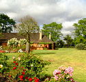 Houghton Winery - Accommodation Nelson Bay