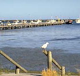 Seaview Motel and Holiday Units - Accommodation Nelson Bay