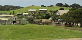 Ace Hi Riding Ranch - Accommodation Nelson Bay 0