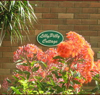 Lillypilly - Accommodation Nelson Bay