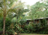Kuranda Rainforest Accommodation Park - Nelson Bay Accommodation.com 3