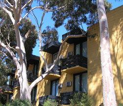 Pathfinder Motel - Accommodation Nelson Bay 1