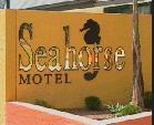 Seahorse Motel - Accommodation Nelson Bay 1