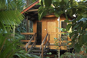 Cape Trib Beach House - Accommodation Nelson Bay 0