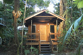 Cape Trib Beach House - Accommodation Nelson Bay 3