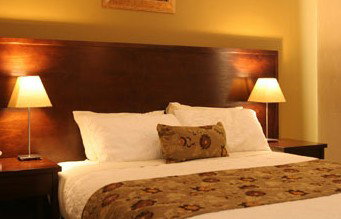 Whale Motor Inn - Accommodation Nelson Bay 1