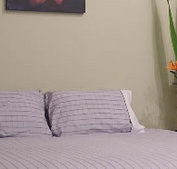 Stingo Hotel - Accommodation Nelson Bay