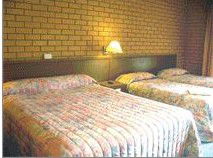 Bega Village Motor Inn - Accommodation Nelson Bay 3