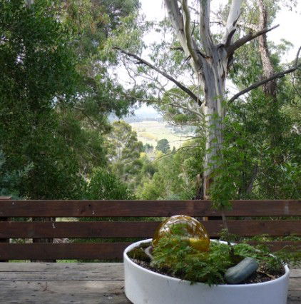 Accommodation Nelson Bay