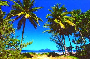 Mission Beach Rainforest Motel - Accommodation Nelson Bay 1