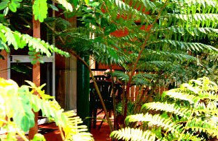 Mission Beach Rainforest Motel - Accommodation Nelson Bay 3