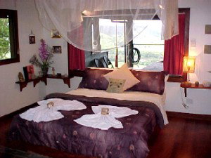 Daintree Cloud 9 - Accommodation Nelson Bay 0
