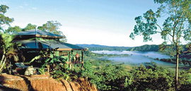 Daintree Cloud 9 - Accommodation Nelson Bay 1