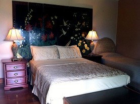 Daintree Manor - Accommodation Nelson Bay 0