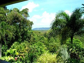 Daintree Manor - Accommodation Nelson Bay 3