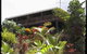 Daintree Manor - thumb 5
