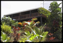 Daintree Manor - Accommodation Nelson Bay 5