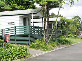 Palmwoods Caravan Park - Accommodation Nelson Bay 1