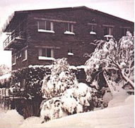 Elk at Falls - Accommodation Nelson Bay