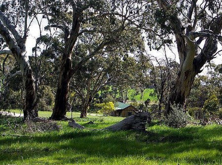 Wuthering Heights - Bronte Manor - Accommodation Nelson Bay 3