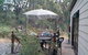 Kurianda Cottage - thumb 1