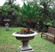 Bangalow Retreat - Accommodation Nelson Bay