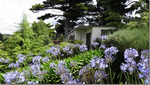 Tamar River Retreat - Accommodation Nelson Bay 5