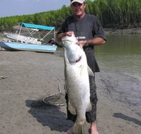 Dundee Downs Bush Resort - Accommodation Nelson Bay