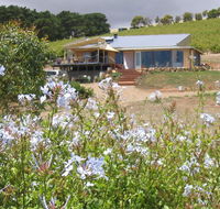 The Blue Grape Vineyard Accommodation - Accommodation Nelson Bay