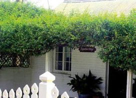 Peppertree Cottage Bed And Breakfast - Normanville - Accommodation Nelson Bay 1