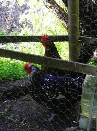 Norma's Place - Accommodation Nelson Bay 0