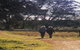 Tungali Cottage - thumb 2