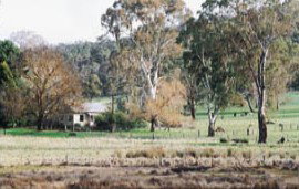 Tungali Cottage - Accommodation Nelson Bay 3