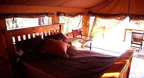 Jabiru Safari Lodge At Mareeba Wetlands - Accommodation Nelson Bay 1