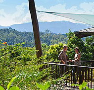 Rose Gums Wilderness Retreat - Accommodation Nelson Bay