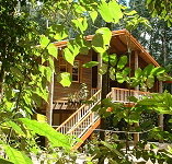 Rivers Edge Rainforest Retreat - Accommodation Nelson Bay