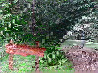 Rivers Edge Rainforest Retreat - Accommodation Nelson Bay 4