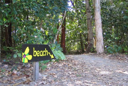 Cape Tribulation Camping - Accommodation Nelson Bay 2