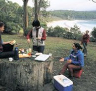 Fortescue Bay Camping Ground - Accommodation Nelson Bay