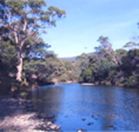 Douglas River Cabin - Accommodation Nelson Bay