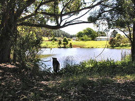 Lapoinya TAS Accommodation Nelson Bay