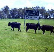 Cluan Homestead - The Managers Residence - Accommodation Nelson Bay