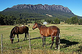 Hurlfield Farm Cottage - Accommodation Nelson Bay 0
