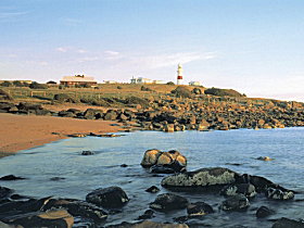 George Town Motor Inn - Accommodation Nelson Bay 0