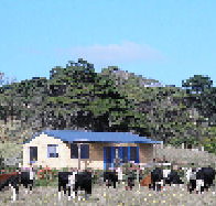 Marrawah Beach House - Accommodation Nelson Bay