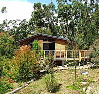Southern Forest Accommodation - Accommodation Nelson Bay