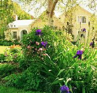 Panshanger - Accommodation Nelson Bay