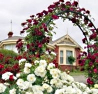 Golden Embers Apartments and B and B - Accommodation Nelson Bay