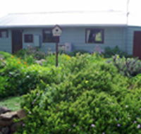 Engadine Cottage - Accommodation Nelson Bay